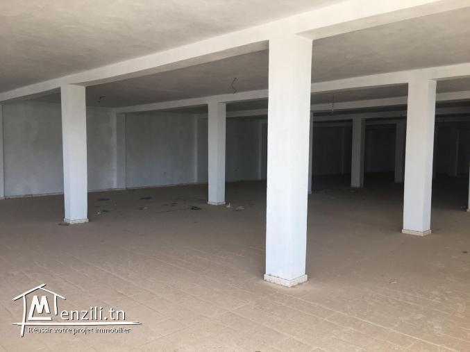 LOCAL INDUSTRIEL DEPOT 500m2