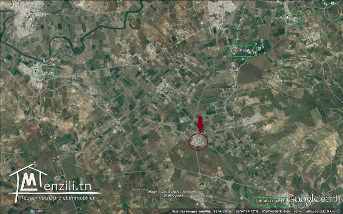 A vendre, terrain nu à bâtir à Sidi ali Hattab 180dt le m2