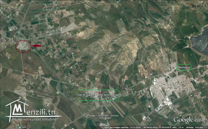 A vendre, terrain nu à bâtir à Sidi ali Hattab 180dt le m2