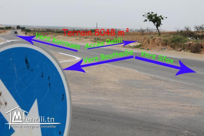 Vente à Sfax pour les résidents à l'étranger.