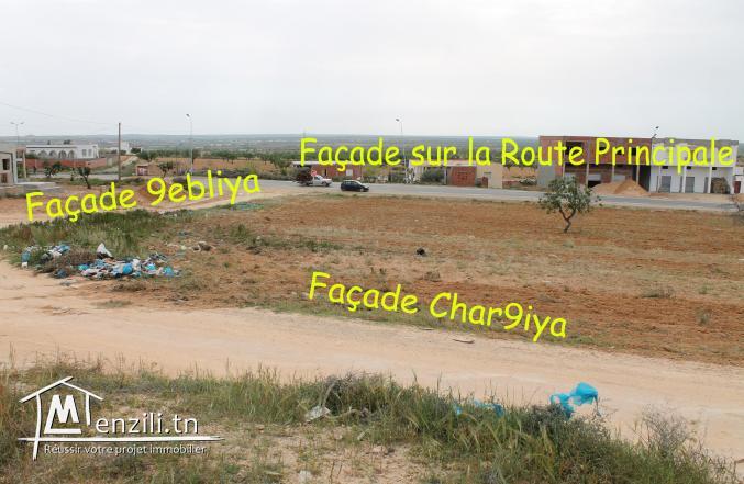 Vente à Sfax pour les résidents à l'étranger.