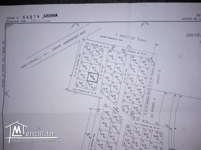 Vente de terrain à borj louzir