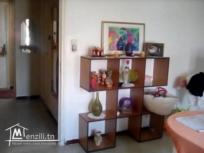 GRANDE VILLA + GRAND APPRT