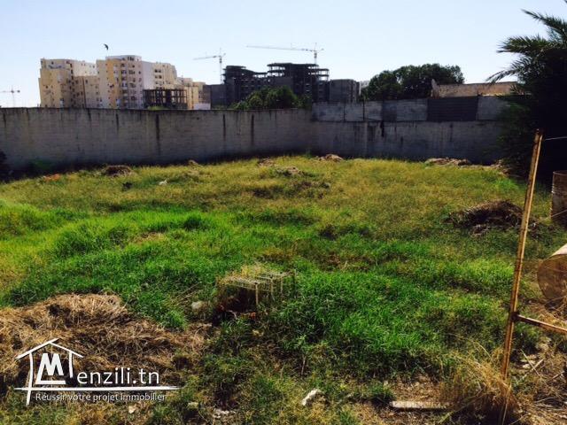 Terrain constructible de 456m2 au centre de Ben Arous Ville