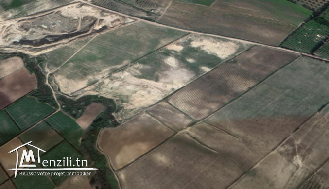 terrain route Tunis-Nabeul