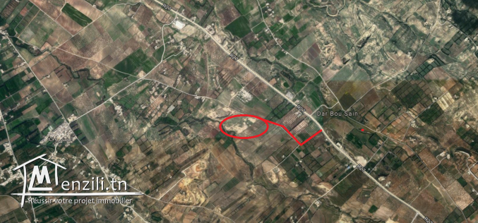 terrain route Tunis-Nabeul