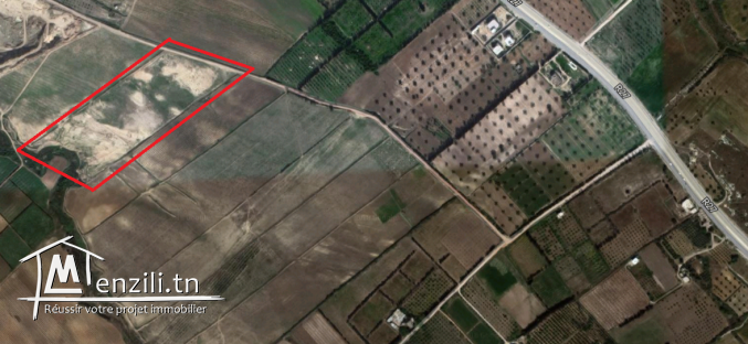 terrain route Tunis-Nabeul