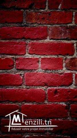 megrine( location usage commerciale)