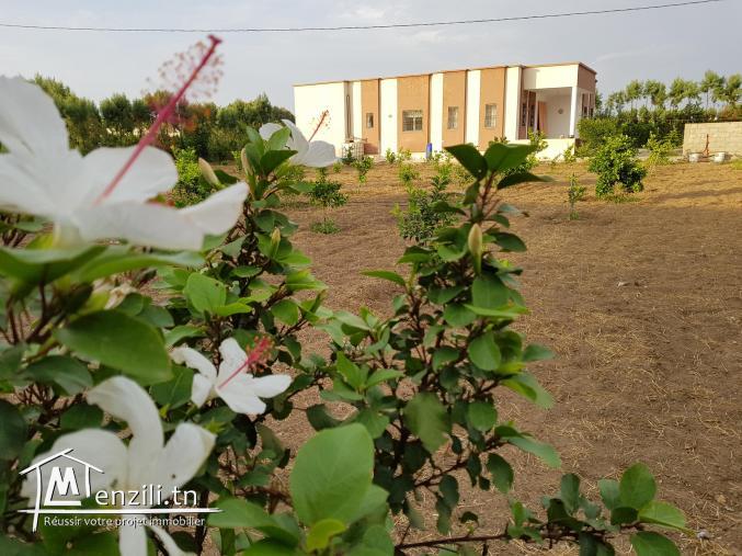 Très bonne occasion au Cap-Bon terrain agricole avec villa dans un cartier Calme