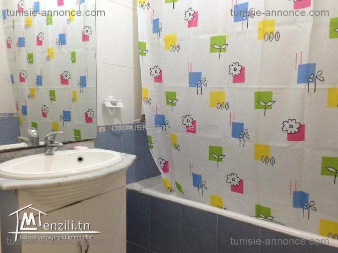 s+1 luxueux appartement