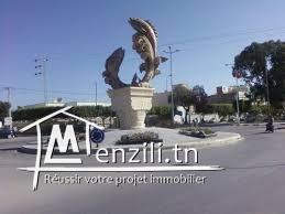 terrain a vendre à teboulba