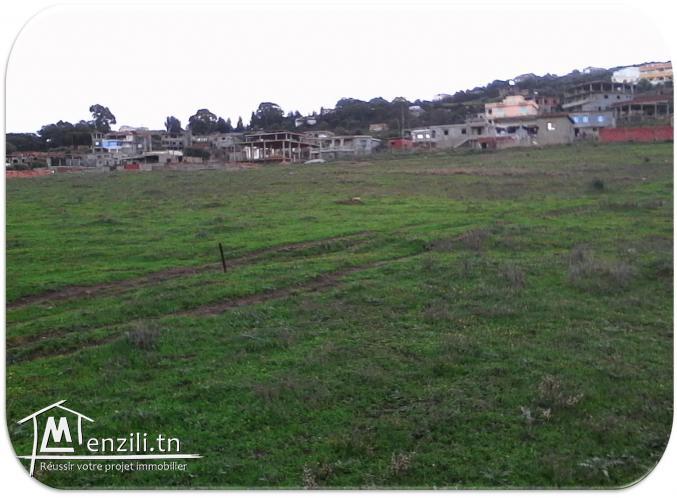 terrain à vendre à Tabarka