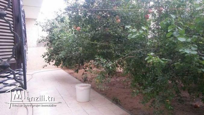 maison 300 mq style americain