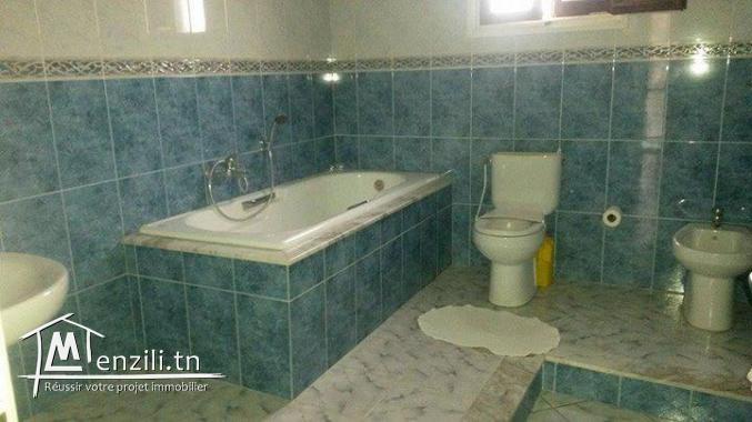 maison 300 mq style americain