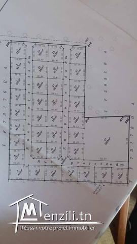 des lots pour villas