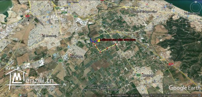 des lots pour villas