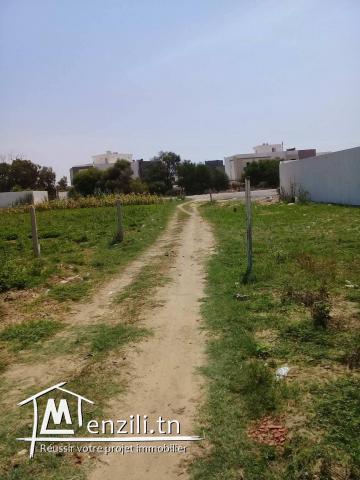 ارض للبيع  فى المنصورة قليبية