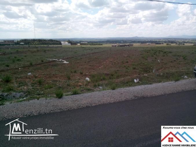 Terrain const direction de la plage de 650m2