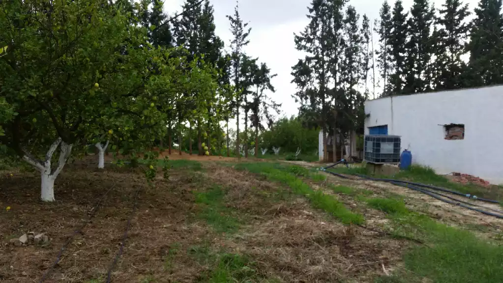 للبيع سانية 2 هكتار في نابل بوعرقوب