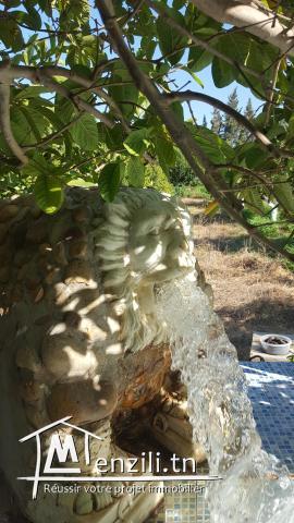 للبيع سانية 2 هكتار في نابل بوعرقوب