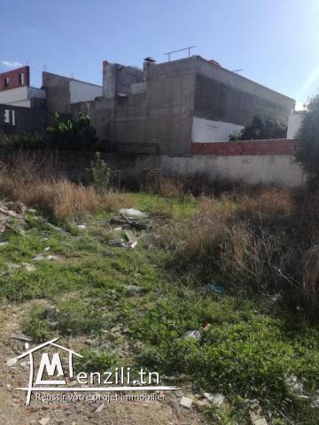 terrain a vendre centre ville kelibia