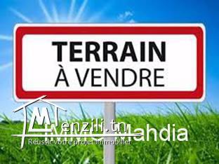 A vendre un terrain