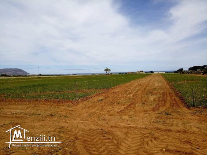 terrain 3al b7ar dar allouch 95829120