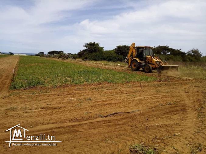 terrain 3al b7ar dar allouch 95829120