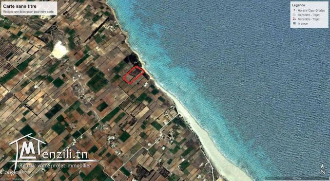 terrain 3al b7ar dar allouch 95829120