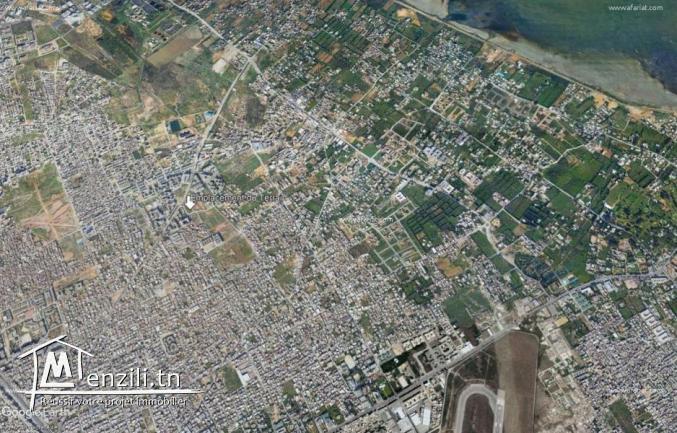 Vente de terrain à borj louzir