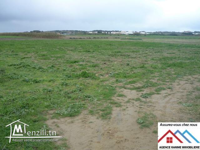 Terrain agricole de 7000m2 avec titre bleu