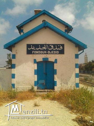 terrain a vendre pres de la Gare de Fondouk Jedid