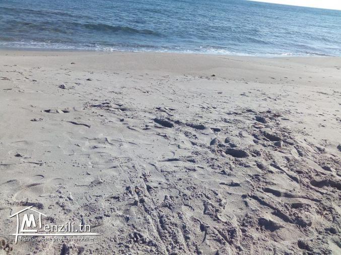 terrain a kerkouane, kelibia