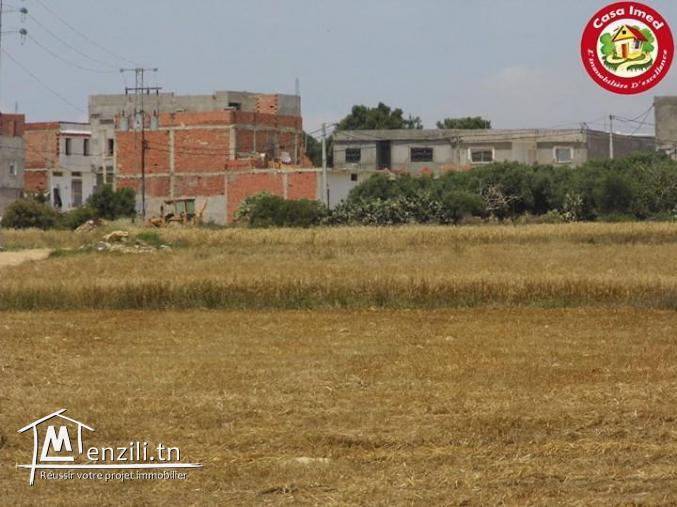 terrain contructible