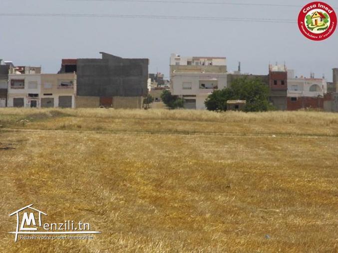 terrain contructible