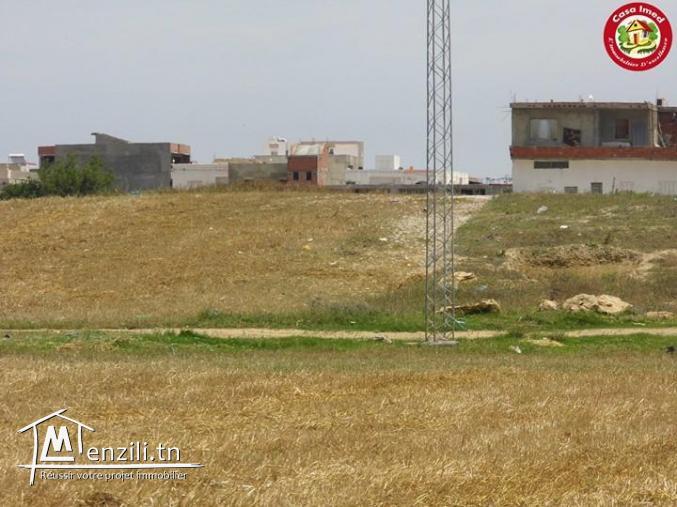 terrain contructible