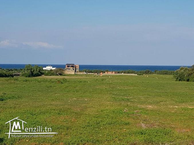 تقسيم جديد في كركوان، قليبية