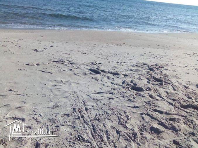 تقسيم جديد في كركوان، قليبية