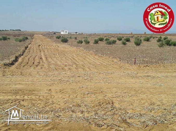 terrain a manzel brahim, kelibia