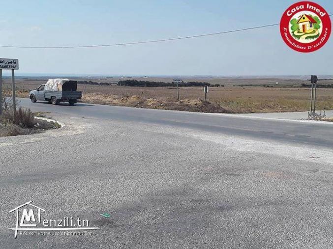 terrain a manzel brahim, kelibia