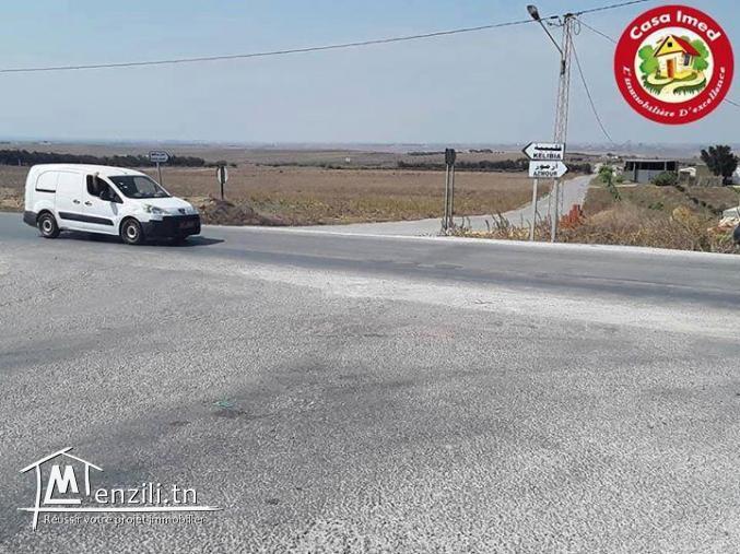 terrain a manzel brahim, kelibia