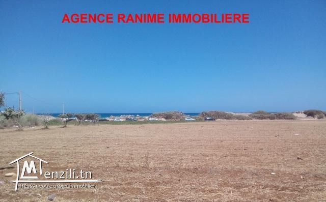 Terrain constructible a la plage de 482m2