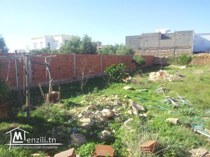 ارض صالحة للبناء في موقع ممتاز بسيدي علوان