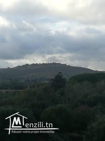 terrain et deux studio a vendre route a la plage hammem ghzaz