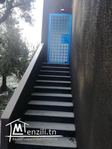 terrain et deux studio a vendre route a la plage hammem ghzaz