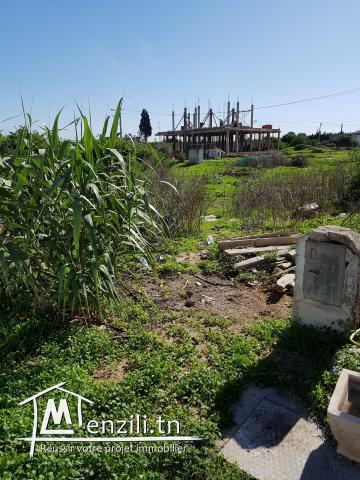 Terrain nu viabilisé