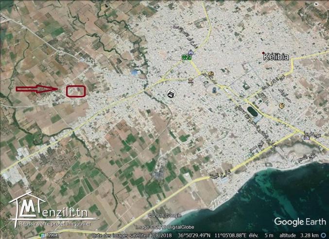 terrain à vendre à kélibia pour plus d'info 50522361