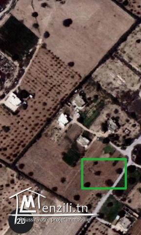 أرض للبيع صالحة للبناء أو مشروع فلاحي في صفاقس