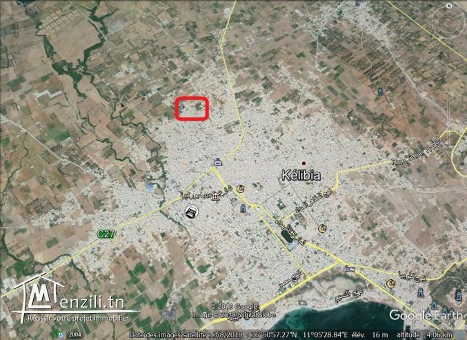 un terrain a vendre à kélibia 50522361