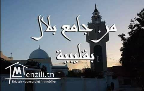 terrain a vendre mosquet bilel kelibia